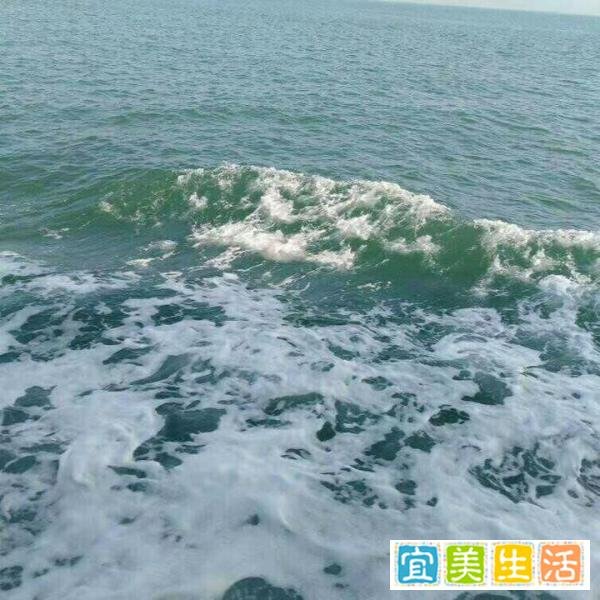 “人类在2012年其实就已经死了”-《康宗宪的青葱岁月》第45季