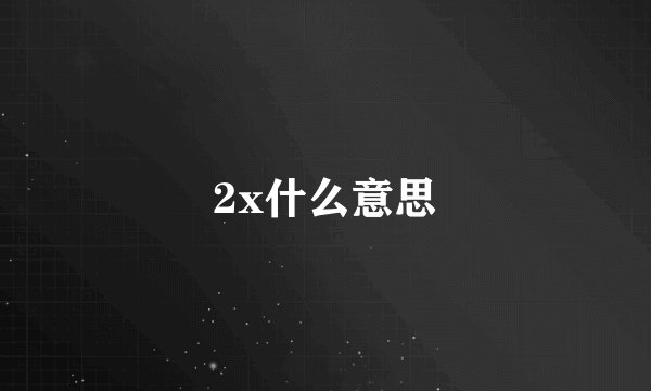 2x什么意思