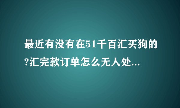 最近有没有在51千百汇买狗的?汇完款订单怎么无人处理呢?是不是网站停了？