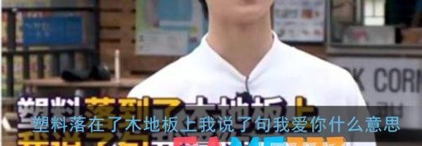 塑料落在了木地板上我说了句我爱你什么意思?