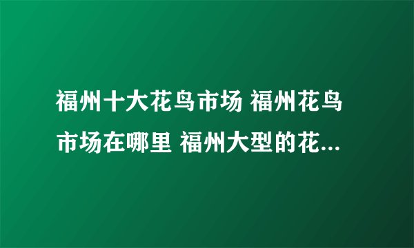 福州十大花鸟市场 福州花鸟市场在哪里 福州大型的花鸟市场有哪些