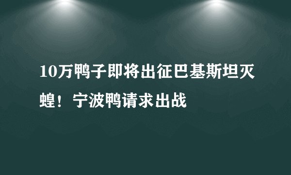 10万鸭子即将出征巴基斯坦灭蝗！宁波鸭请求出战