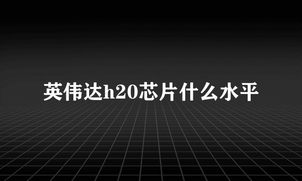 英伟达h20芯片什么水平