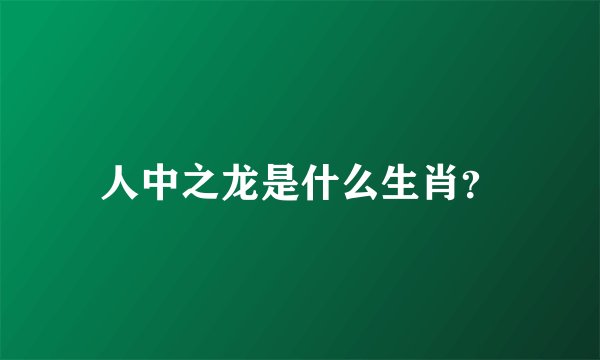 人中之龙是什么生肖？