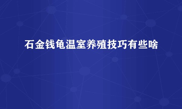 石金钱龟温室养殖技巧有些啥