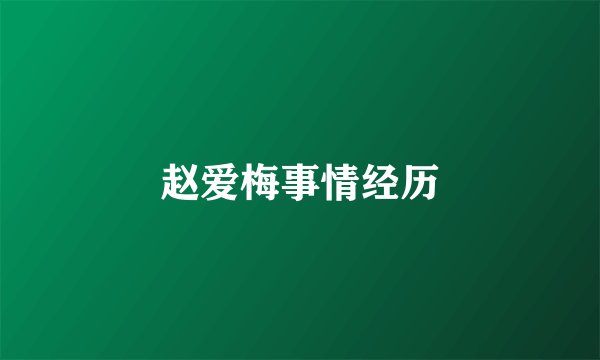 赵爱梅事情经历