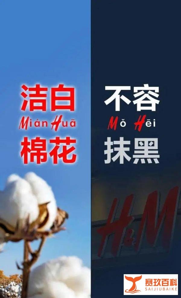 不容抹黑!关于新疆棉花的6个事实