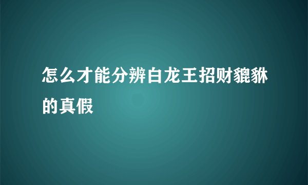 怎么才能分辨白龙王招财貔貅的真假