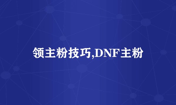 领主粉技巧,DNF主粉