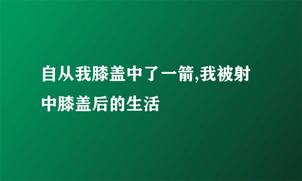 自从我膝盖中了一箭,我被射中膝盖后的生活