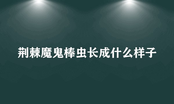 荆棘魔鬼棒虫长成什么样子