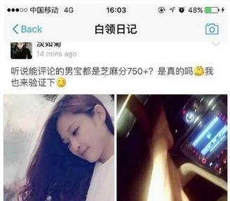 支付宝白领日记怎么进