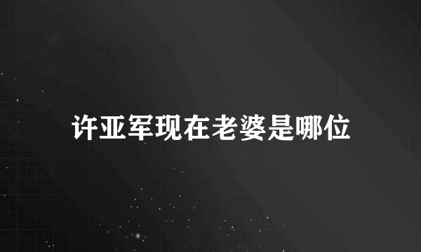 许亚军现在老婆是哪位