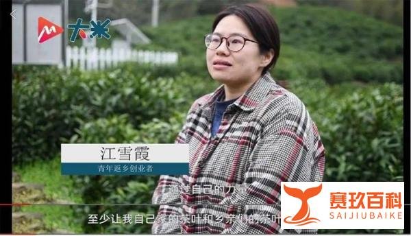 女生辞职回乡当茶农为村里增收 这是咋情况?