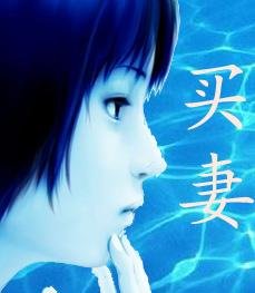 农村家庭暴力长篇《买妻》的介绍