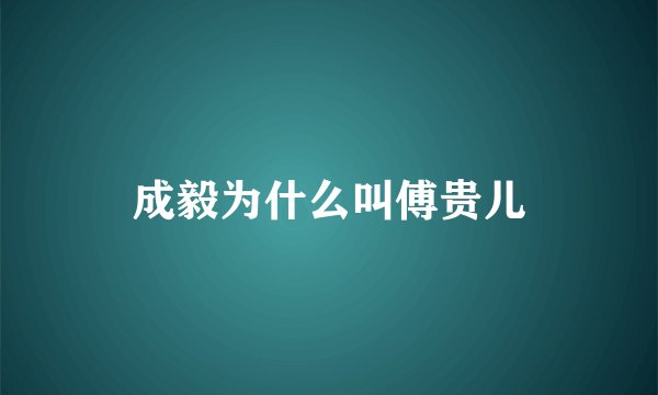 成毅为什么叫傅贵儿