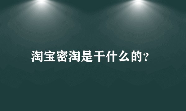 淘宝密淘是干什么的？