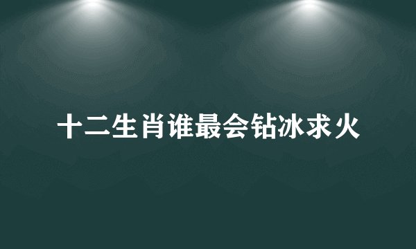 十二生肖谁最会钻冰求火