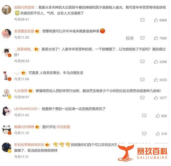 4女子为寻刺激半夜开豪车偷菜,离了大普!