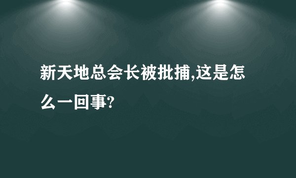 新天地总会长被批捕,这是怎么一回事?