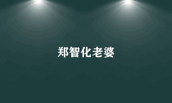 郑智化老婆