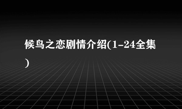 候鸟之恋剧情介绍(1-24全集)