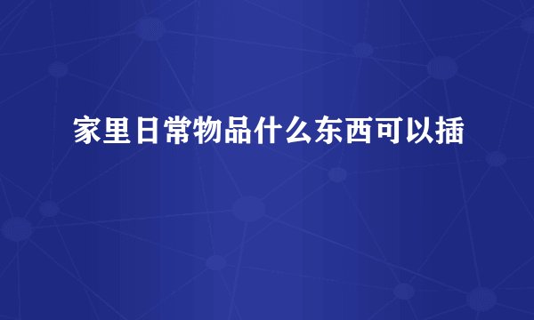 家里日常物品什么东西可以插