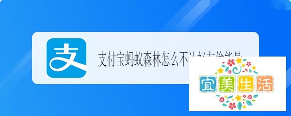 支付宝蚂蚁森林怎么不让好友偷能量