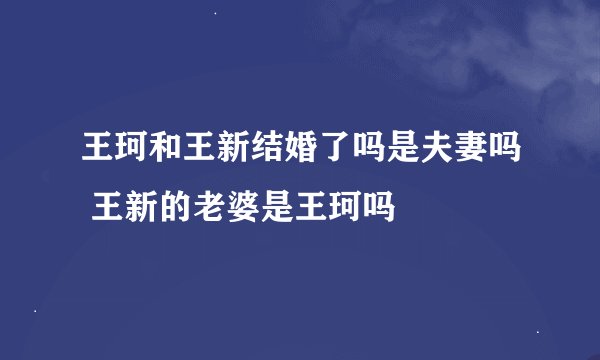 王珂和王新结婚了吗是夫妻吗 王新的老婆是王珂吗