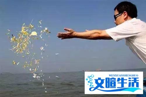 比房价贵5倍！这个城市开始对墓地也限购了