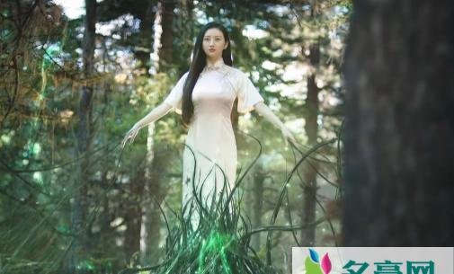 司藤和白英是不是一个人 白英为什么杀司藤