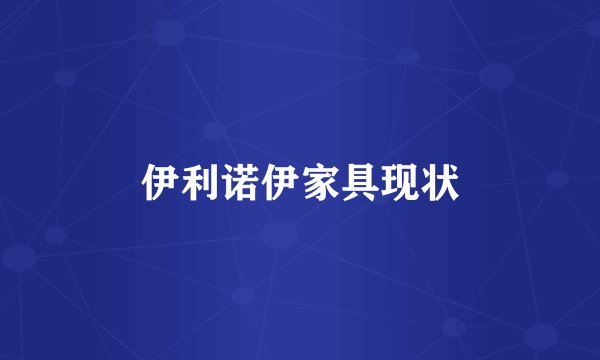 伊利诺伊家具现状