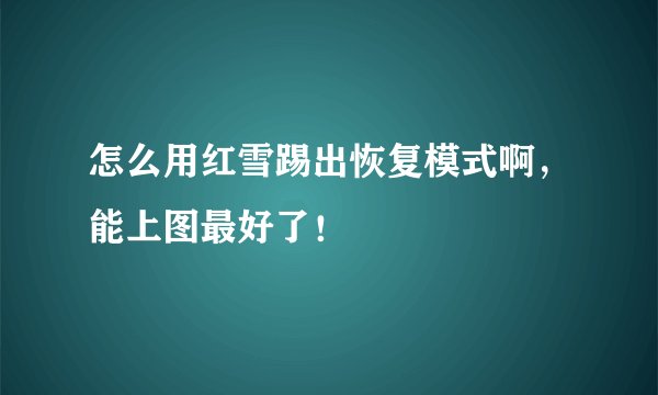 怎么用红雪踢出恢复模式啊，能上图最好了！