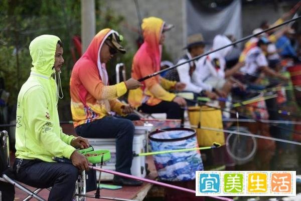 3人花394万买8000条鱼开赌场获刑,5小时票价两千六