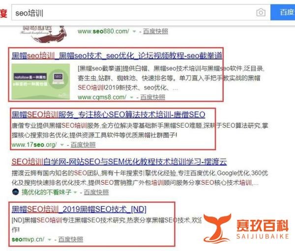 【SEO培训】百度首页三连坐【资源+基础】=【排名】【5天】