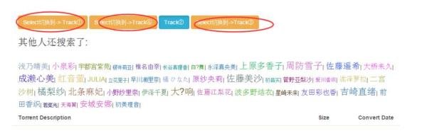 p2p searcher网页版怎么用 怎么搜索