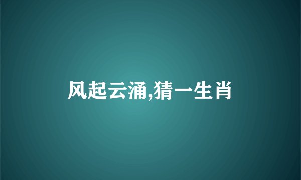 风起云涌,猜一生肖