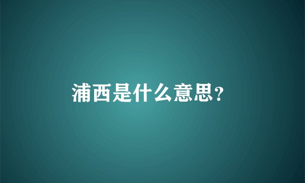 浦西是什么意思?