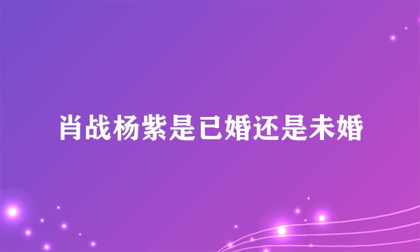 肖战杨紫是已婚还是未婚
