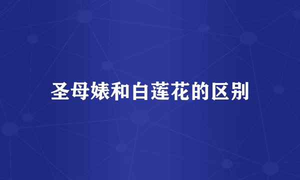 圣母婊和白莲花的区别