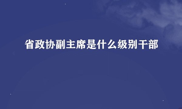 省政协副主席是什么级别干部
