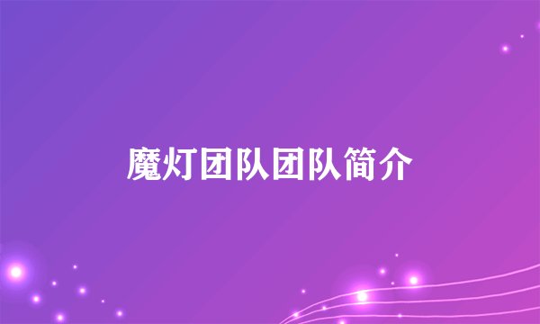 魔灯团队团队简介