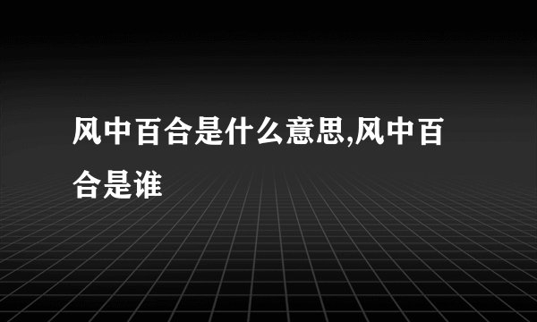 风中百合是什么意思,风中百合是谁