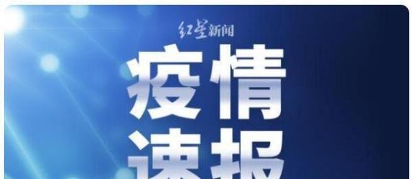 10天新增235例 大连疫情为何增速 这是咋情况？