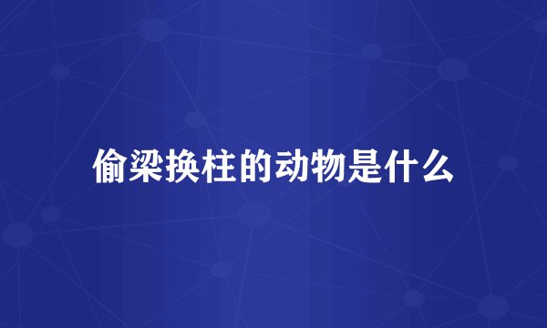 偷梁换柱的动物是什么