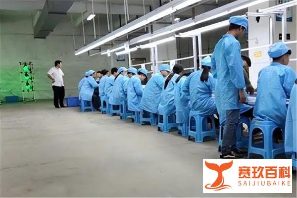 大学生隐瞒学历进厂大螺丝，谁之过？