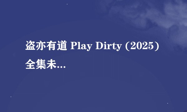 盗亦有道 Play Dirty (2025)全集未删减高清版免费下载