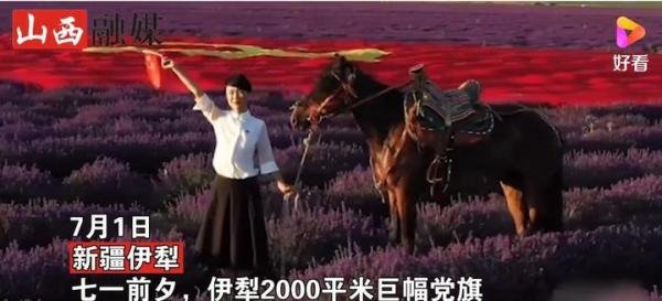 新疆万亩薰衣草田铺2000平米党旗 这是咋情况？