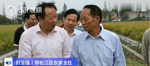 袁隆平77岁曾走遍上海超级稻农田 这是咋情况？