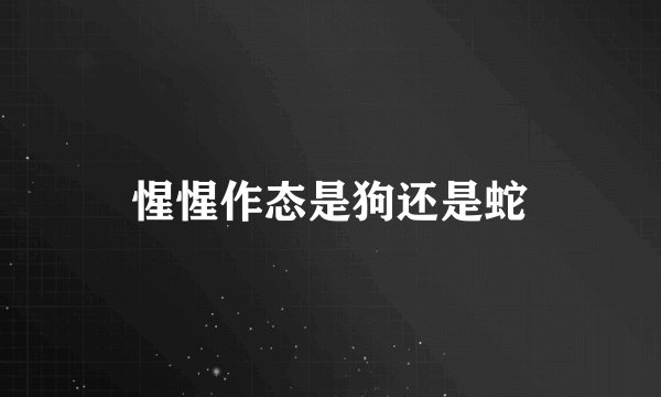 惺惺作态是狗还是蛇